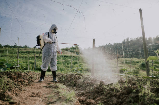 Best Local Pest Control Services  in Point Marion, PA