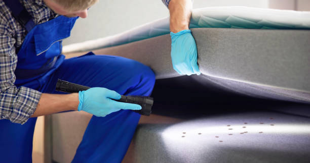 Best Affordable Pest Control Services  in Point Marion, PA