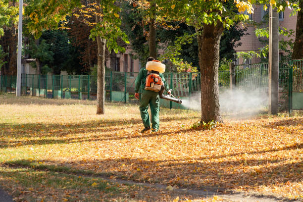 Best Termite Control Services  in Point Marion, PA