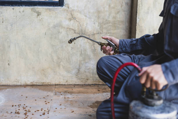 Best Wasp Removal Services  in Point Marion, PA